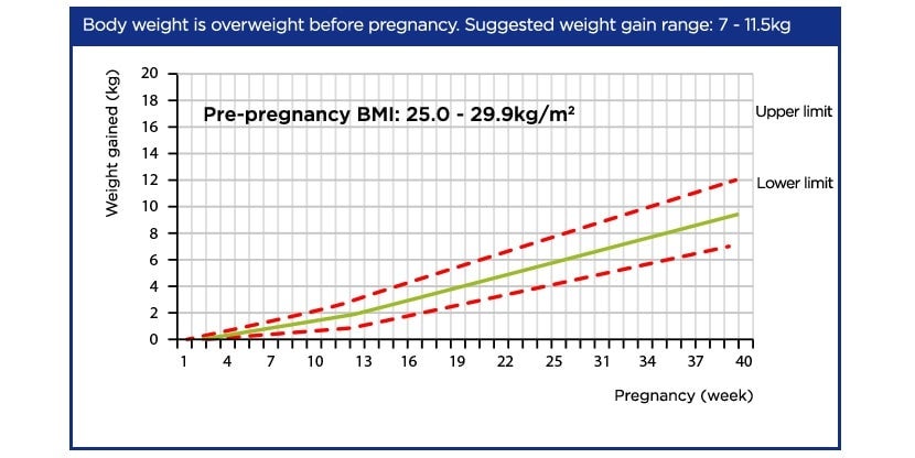 overweight