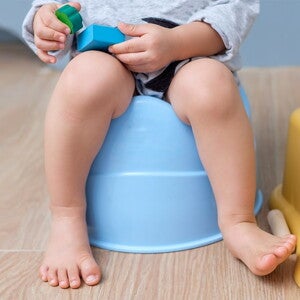 Potty Training Potty Training