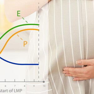 Pregnancy Calendar Pregnancy Calendar