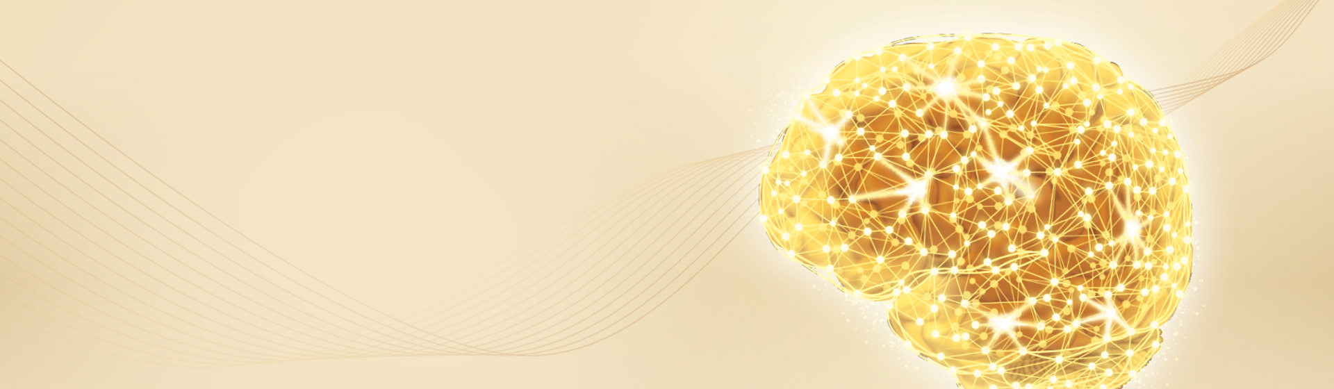 The brain – nutrition connection The brain – nutrition connection