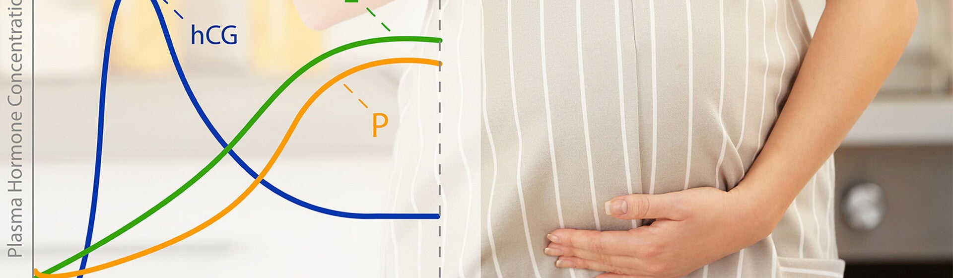Pregnancy tracker Pregnancy tracker