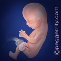 Trimester2-Week13 Trimester2-Week13