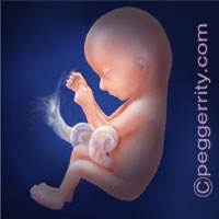 Trimester2-Week15 Trimester2-Week15